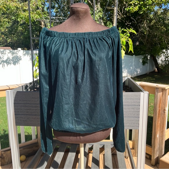 Bailey 44 Dark Green Velvet Off the Shoulder Top Blouse Sz M Holiday Christmas - Picture 1 of 6